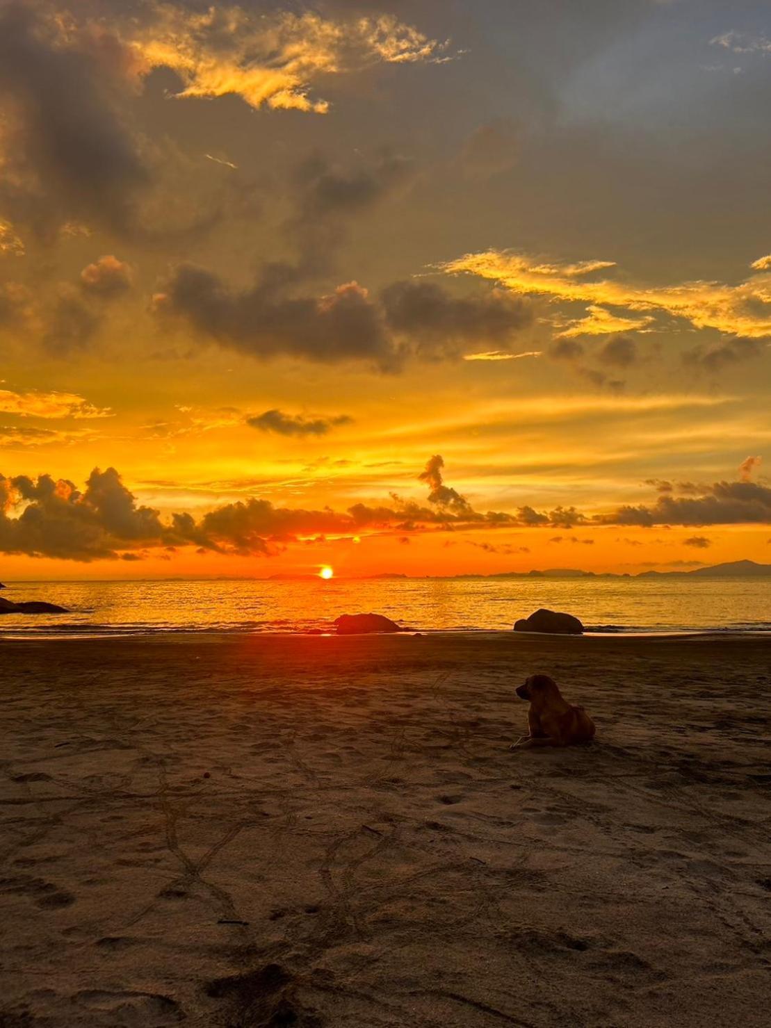 Lae Tawan Bungalow Koh Chang Ranong Eksteriør bilde